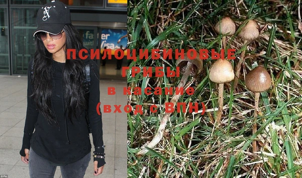 бутират Надым