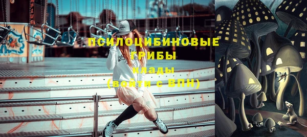 PSILOCYBIN Навашино