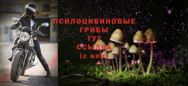 PSILOCYBIN Навашино